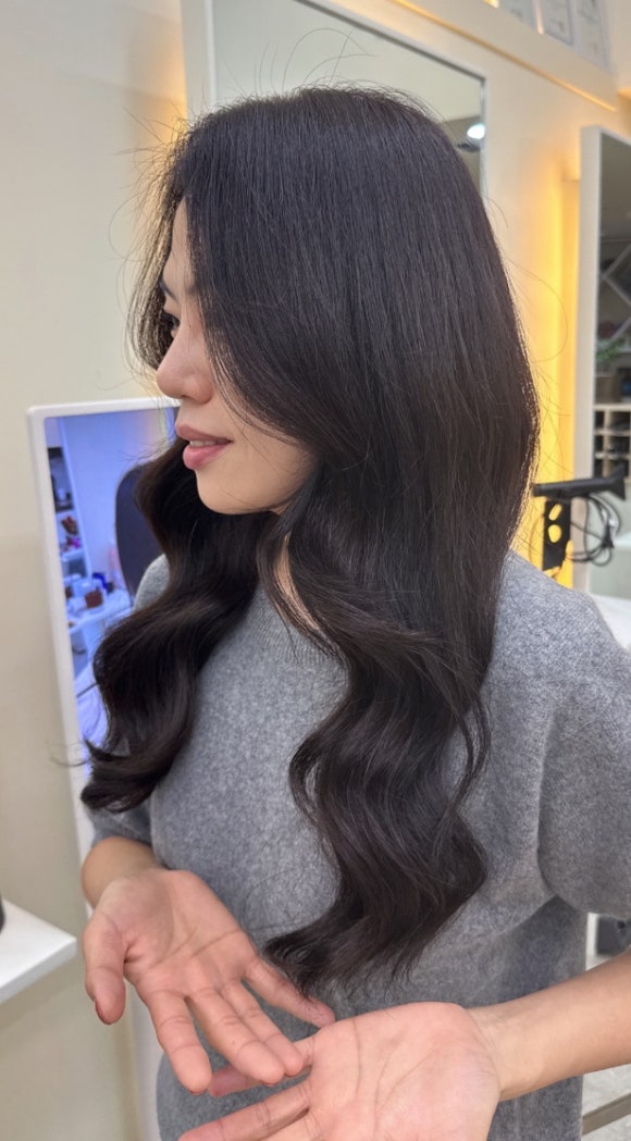 보하비 이미지