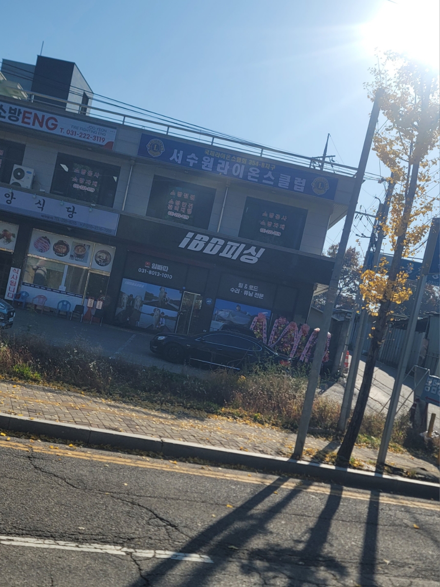 임빠따피싱 이미지