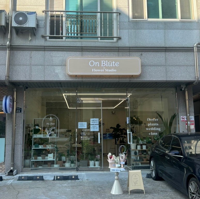 온블뤼떼 이미지