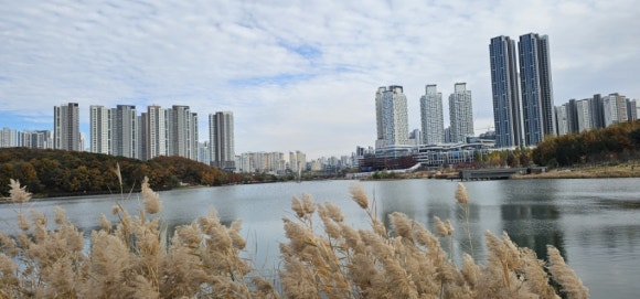 관내정숙 이미지