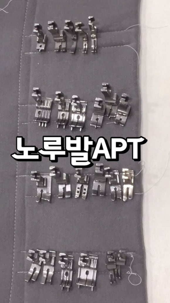 오렌지수선실 이미지