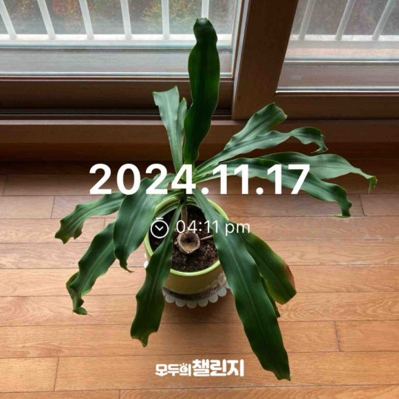 코다리덕장용인신봉점 이미지