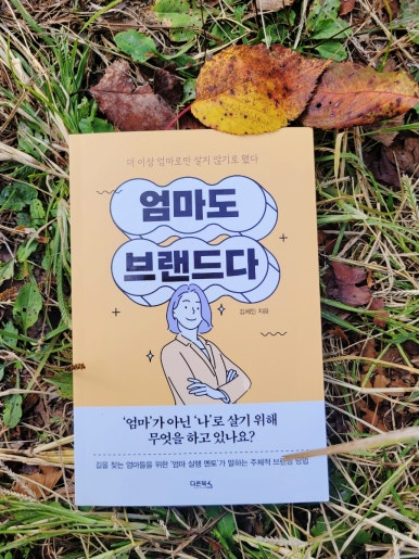 세인솔루션 이미지
