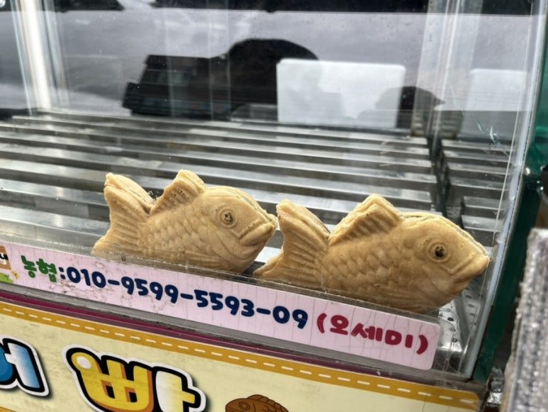 별난만두 사진 6