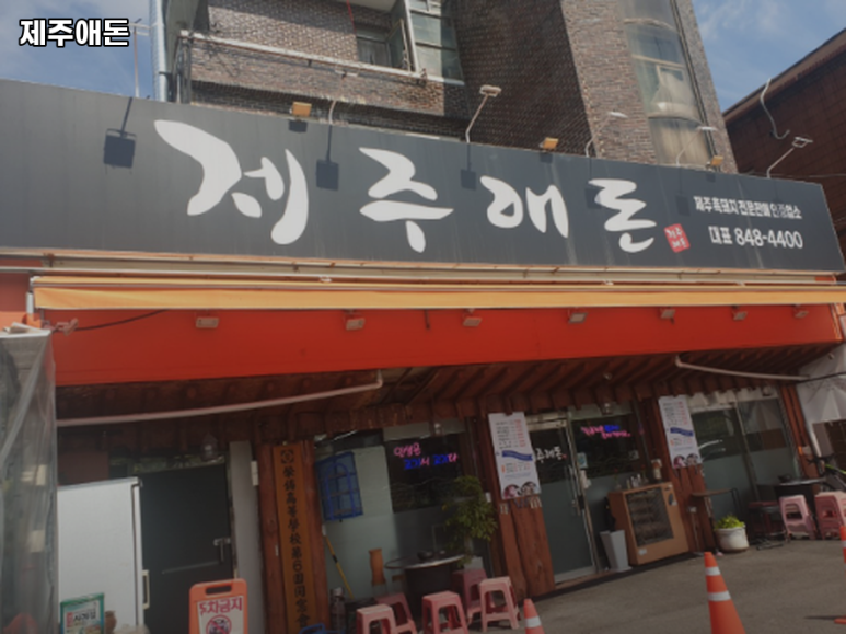 제주애돈 이미지