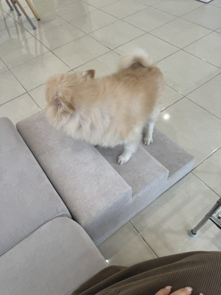 담아놓다 이미지