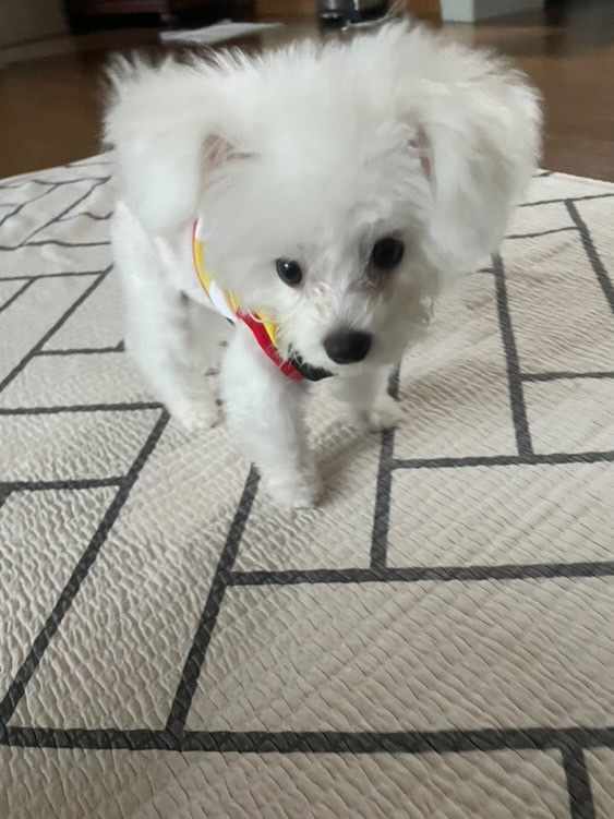 잘자 이미지