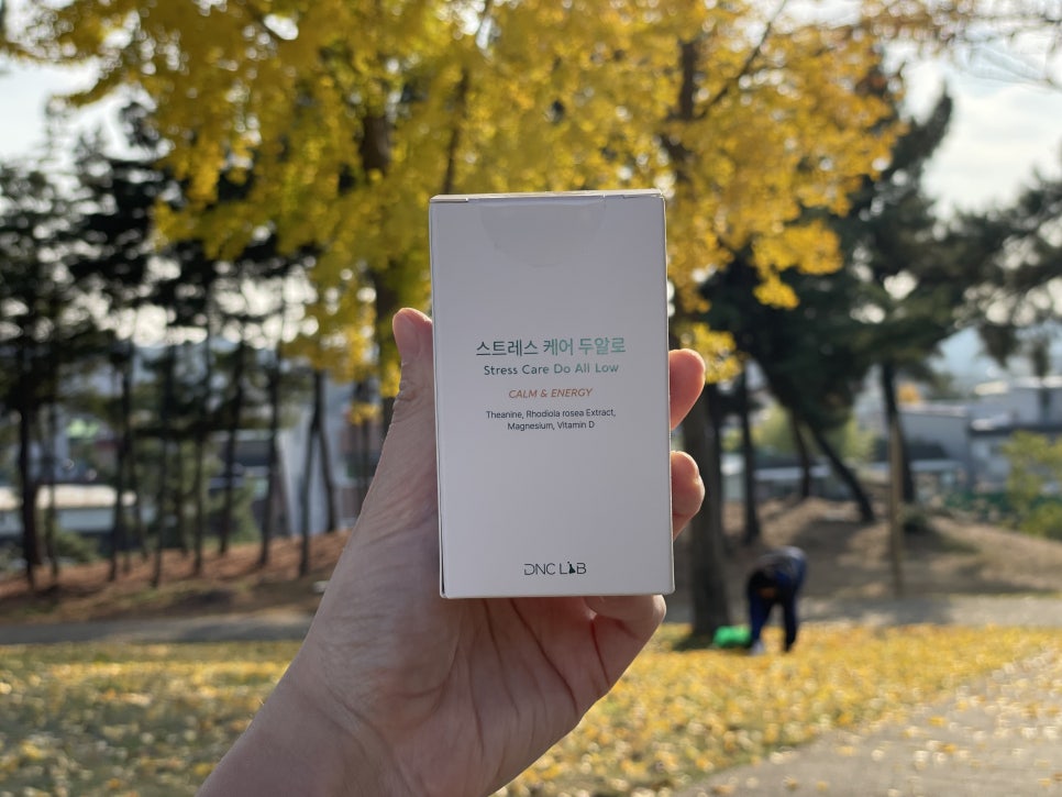 디앤씨랩 이미지