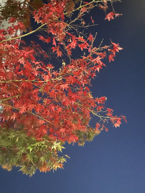 삼삼프로젝트 이미지