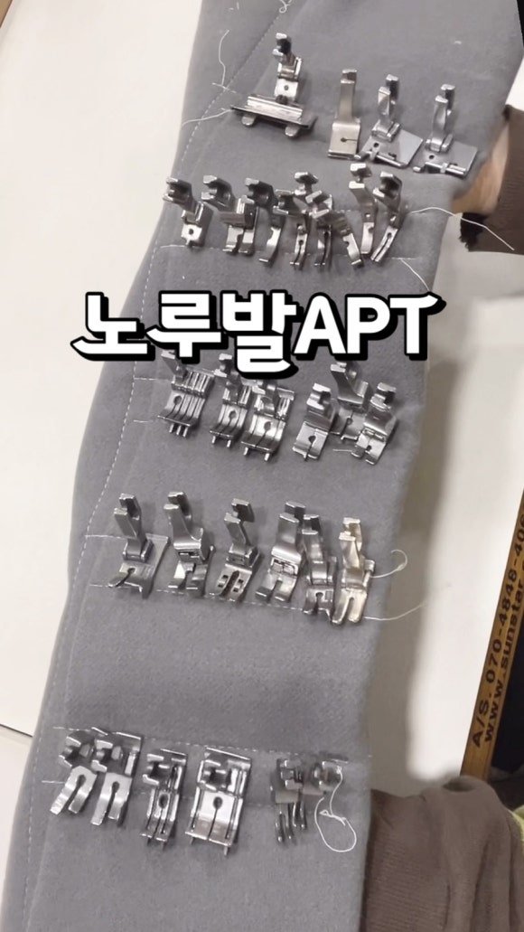 오렌지수선실 이미지