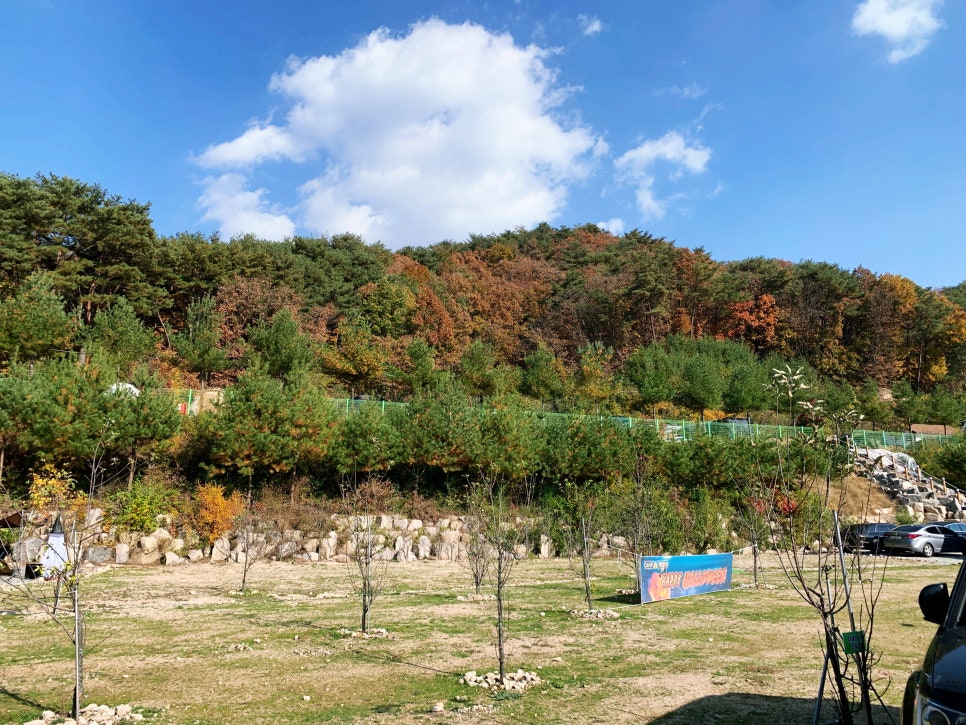 예손캠핑장 이미지