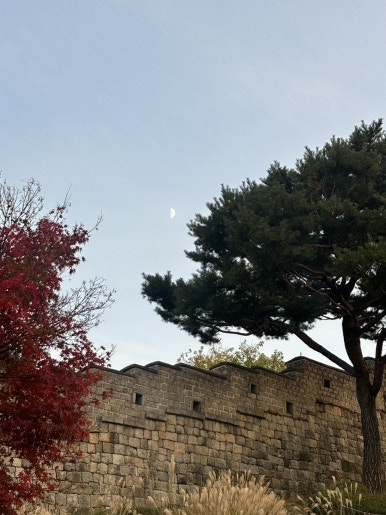 희준로또 이미지