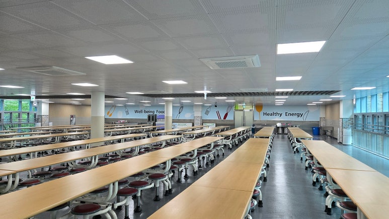 동화초등학교 이미지