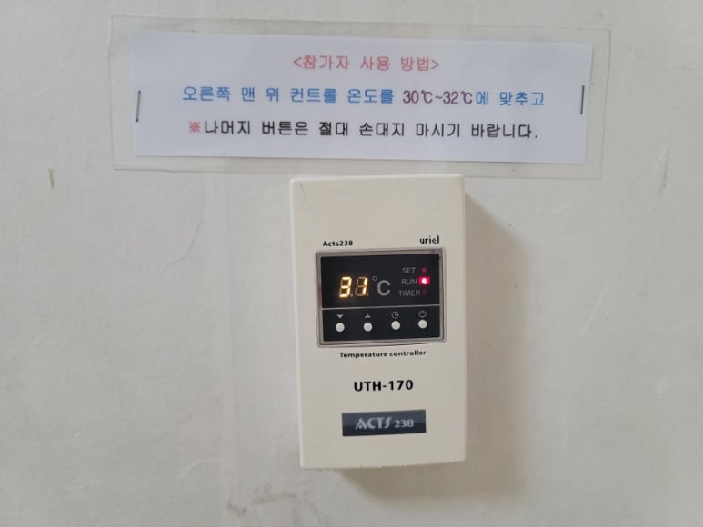 스테이동백 이미지