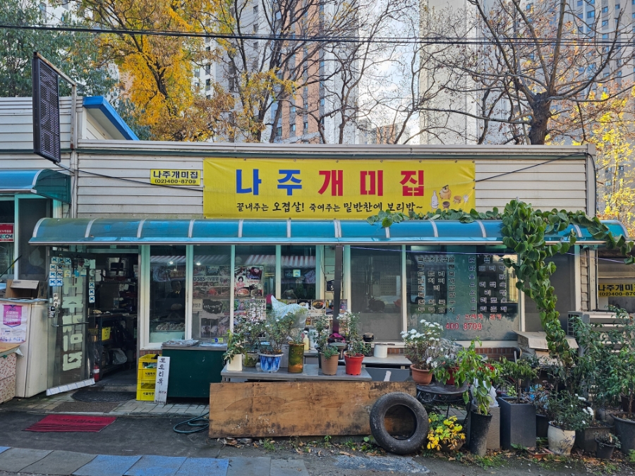 나주개미집 이미지