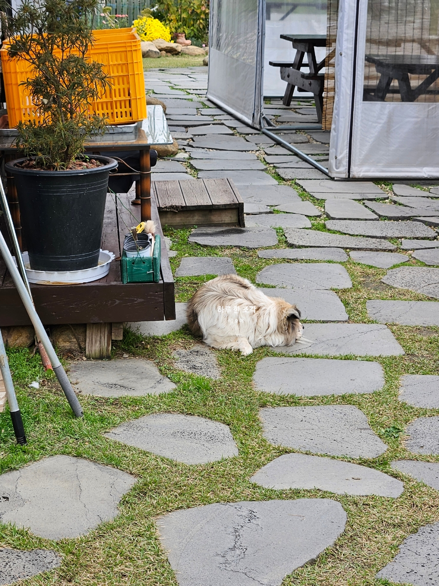 칠봉산 자락 이미지