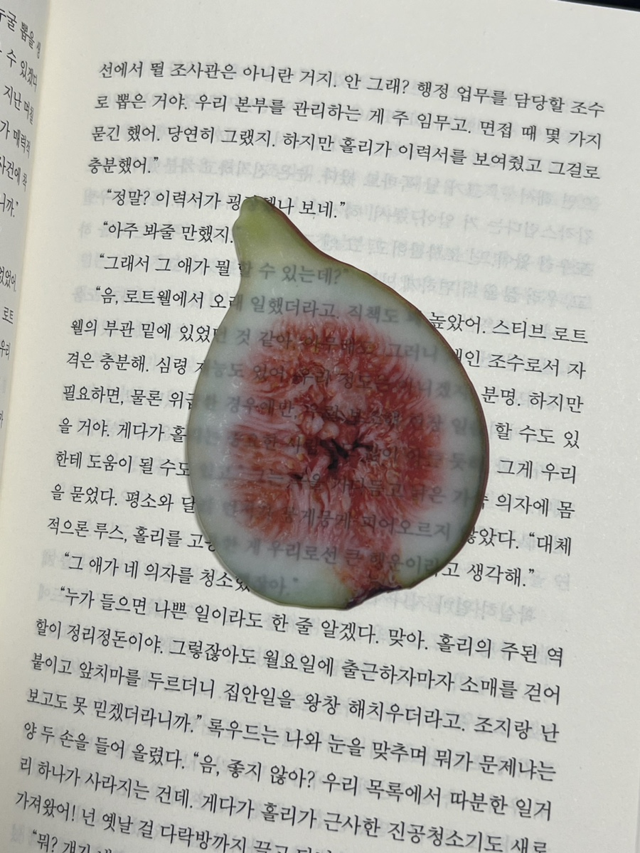 대도음악사 이미지