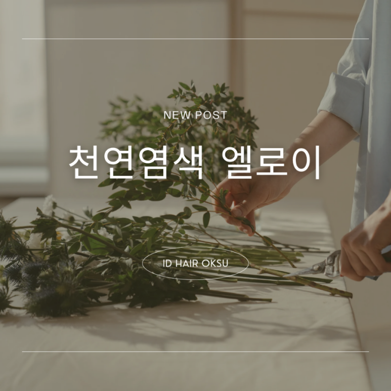 엘로이뷰티 이미지