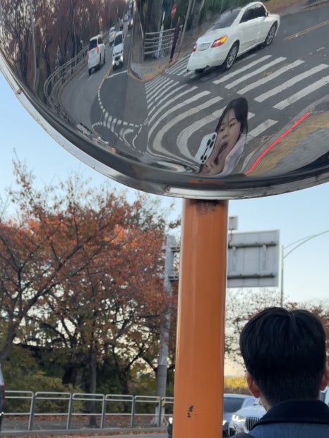 고삐리둘 이미지