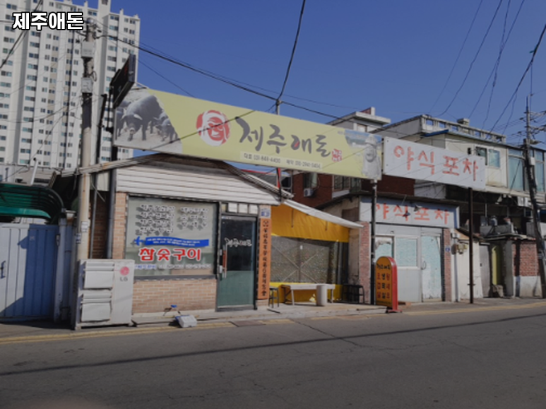 제주애돈 이미지