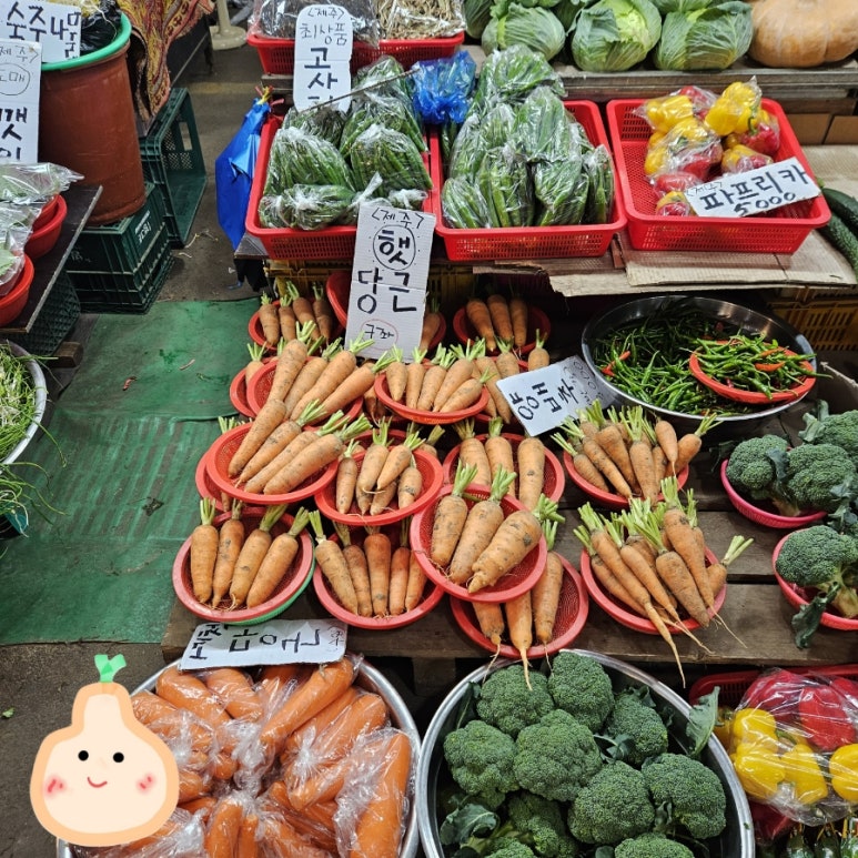 돈내코삼남매 사진 7