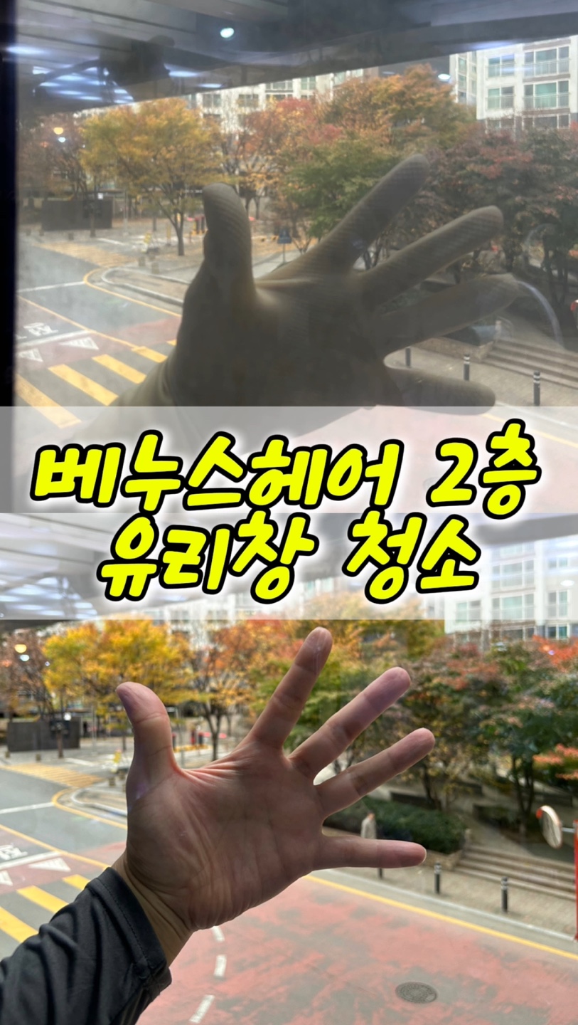 베누스헤어 이미지