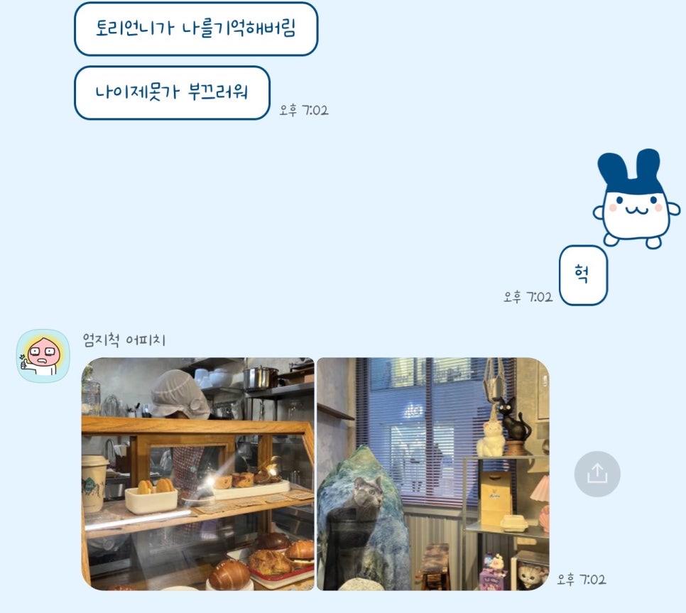 머즐스 이미지