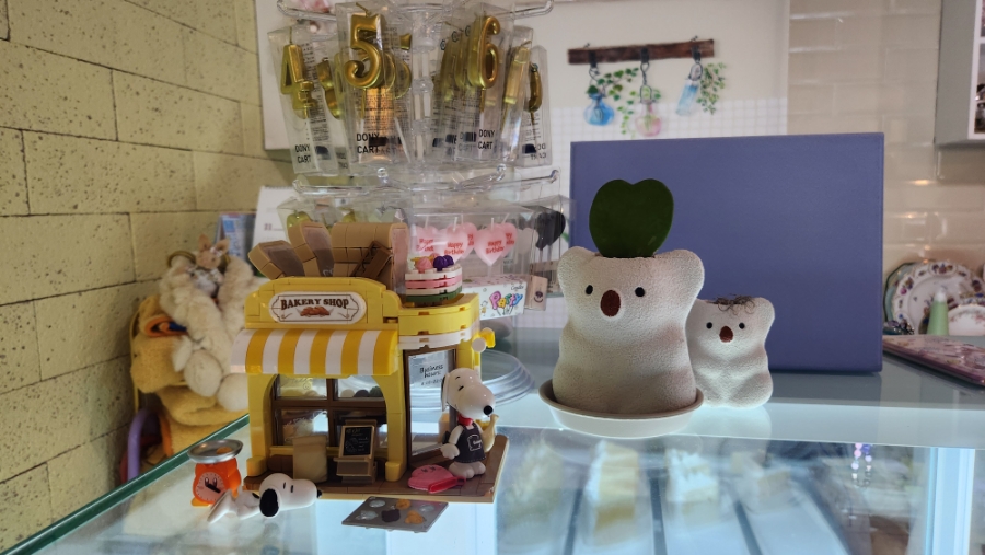 달곰디 이미지