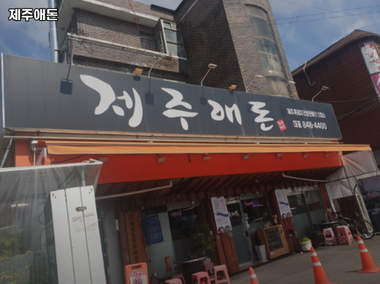 제주애돈 이미지