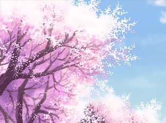 혜민카 이미지