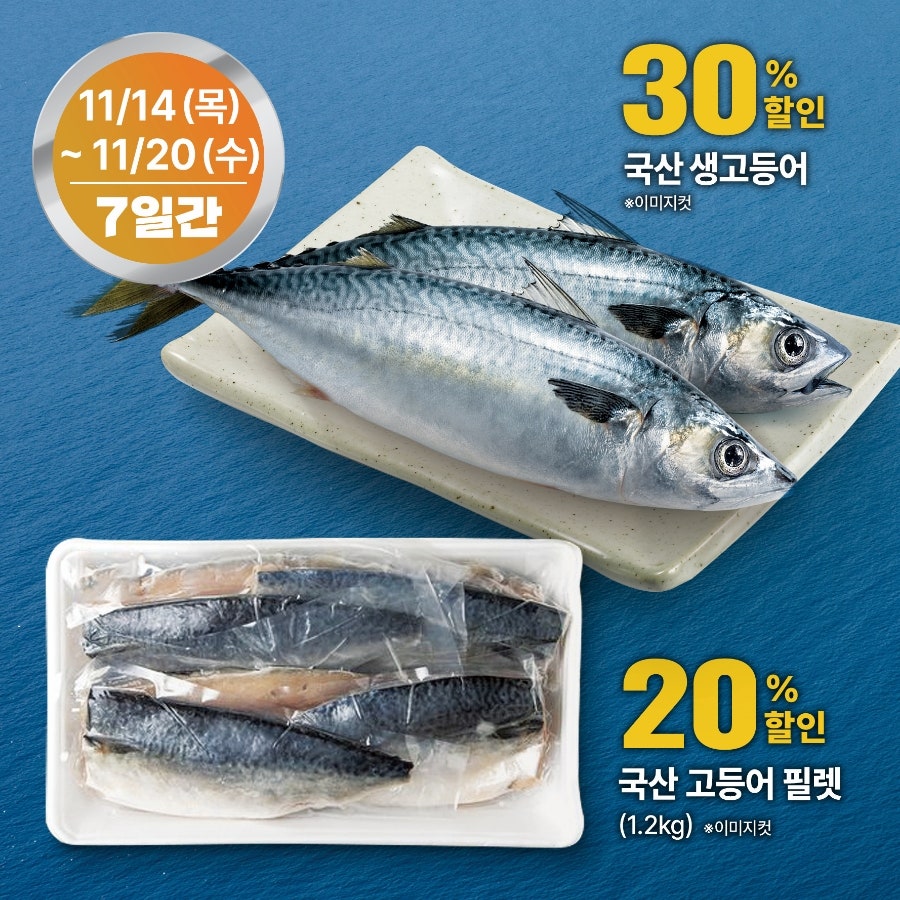 (주)트레이더스 이미지
