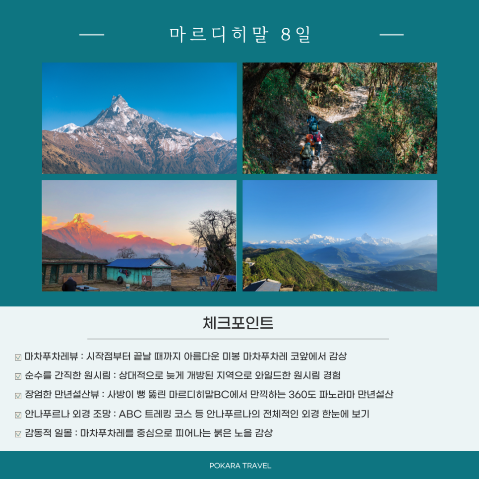 홍코너 이미지