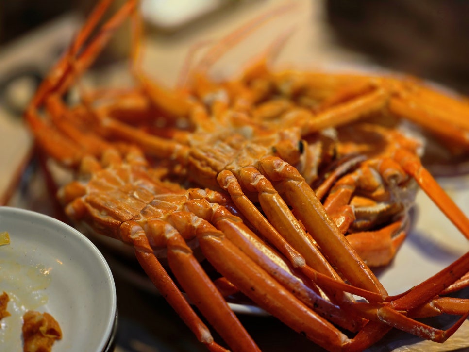 참바다&대게와친구 이미지