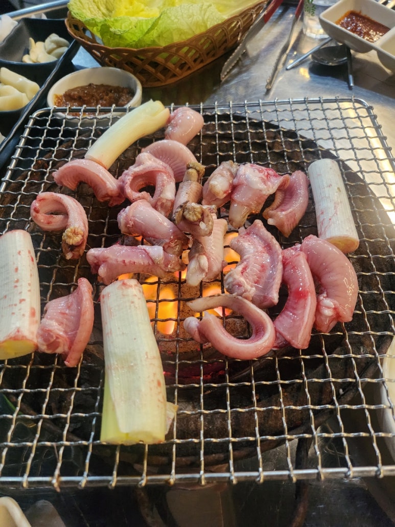이원아나고곰장어 이미지