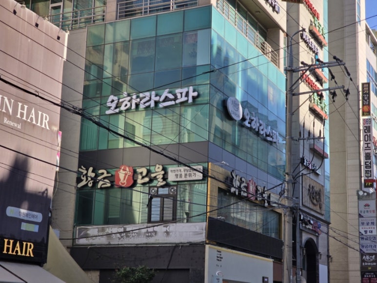 오하라타이스파 이미지