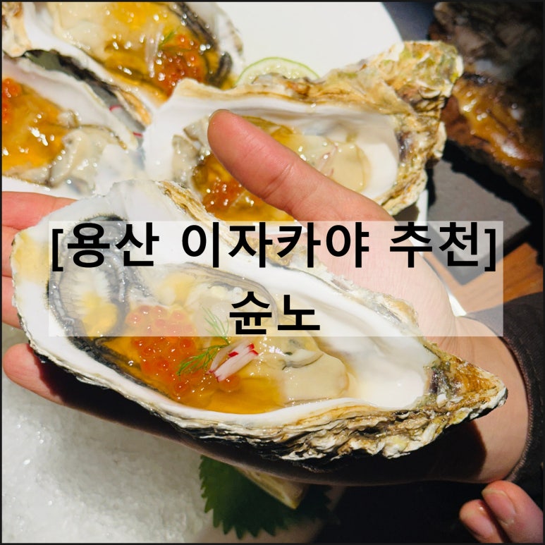 슌노 이미지