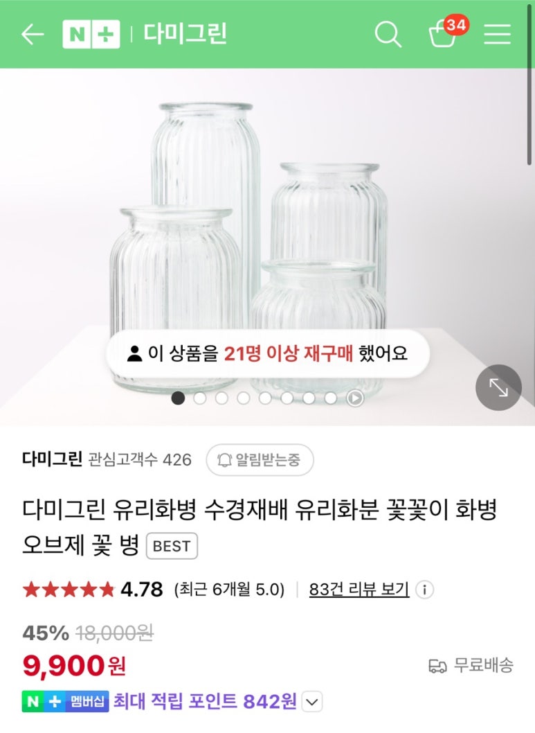 다미그린 이미지
