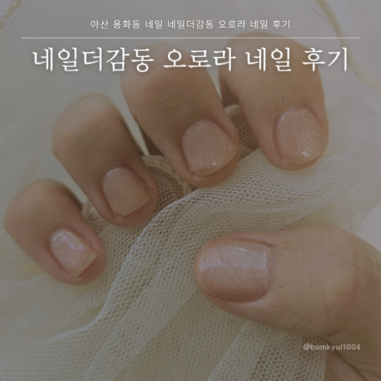 네일더감동 이미지