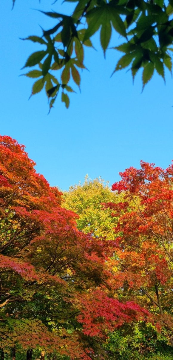 (주)대도마트 이미지