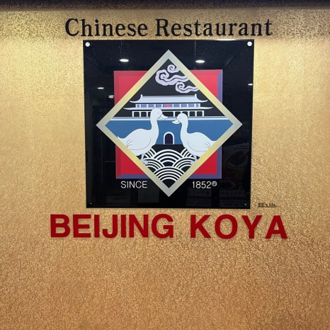 베이징코야주 이미지