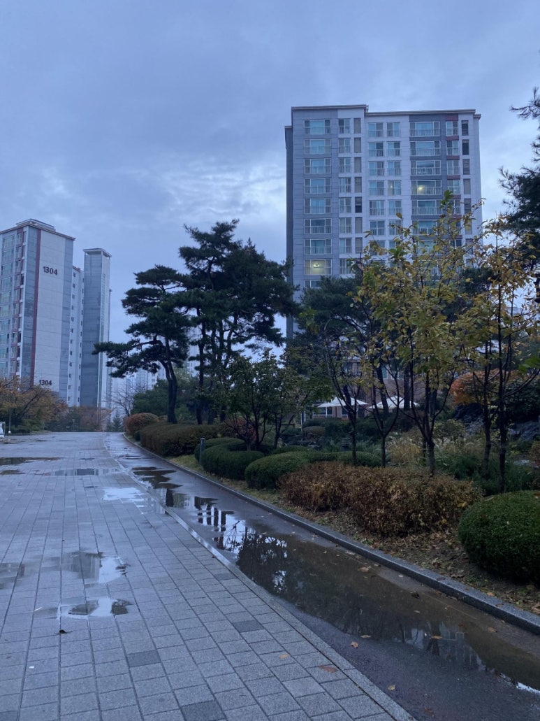 탑바디핏 이미지