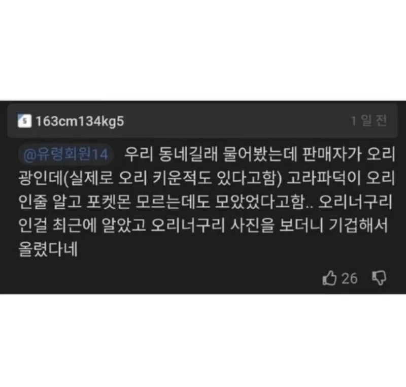 오리덕후 이미지