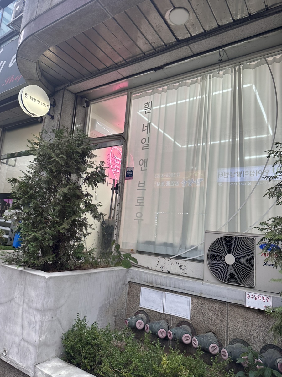 흰네일앤브로우 이미지
