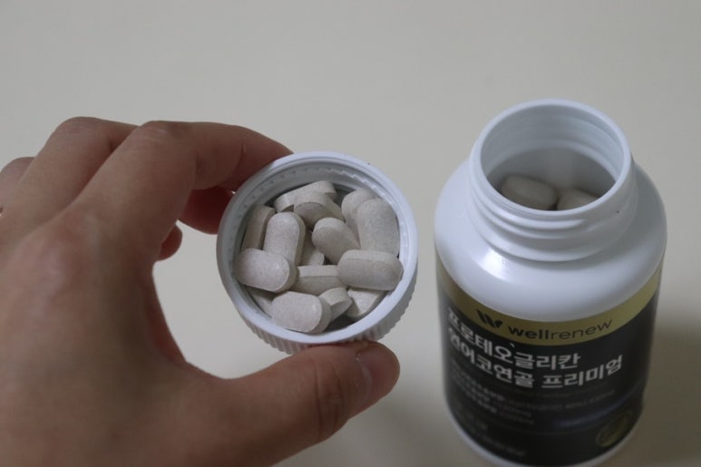 웰리뉴 이미지