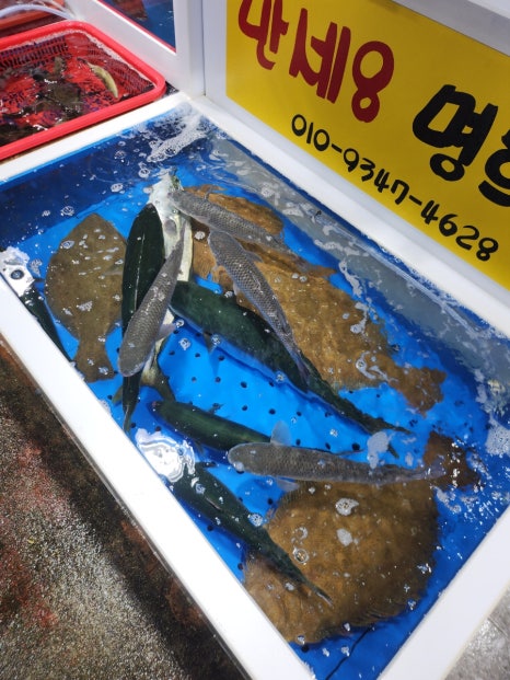 명희네만세회센타 이미지