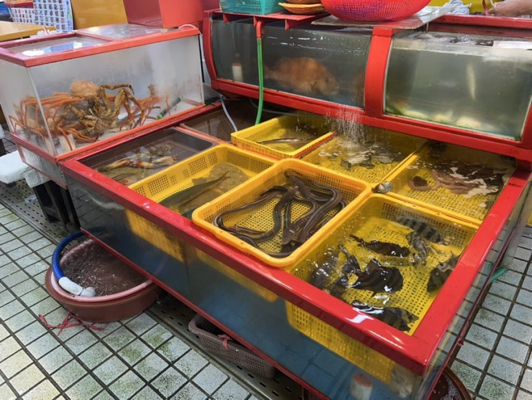 고성상회 이미지