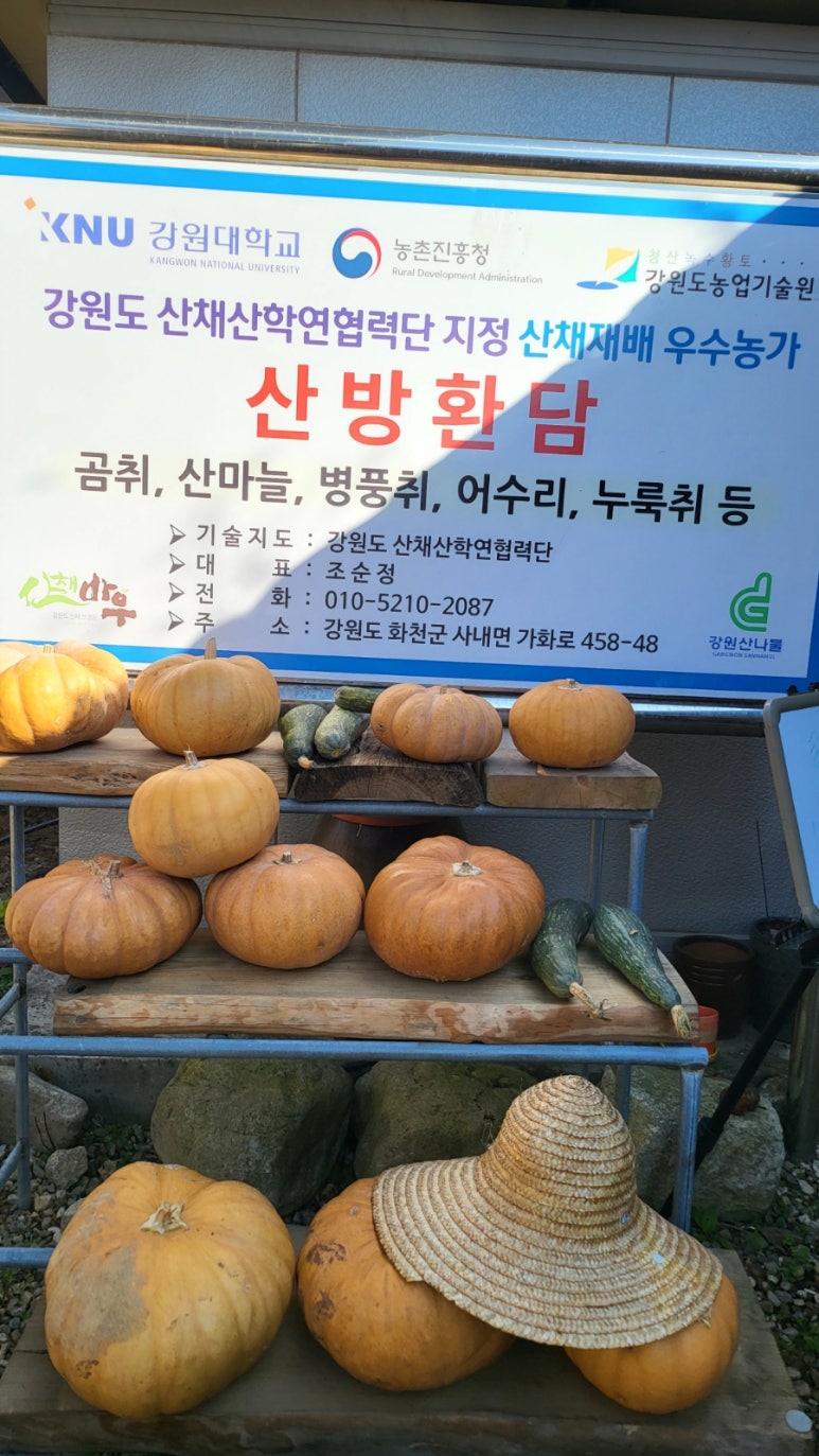산방환담 이미지