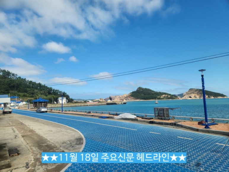 (주)대도마트 이미지