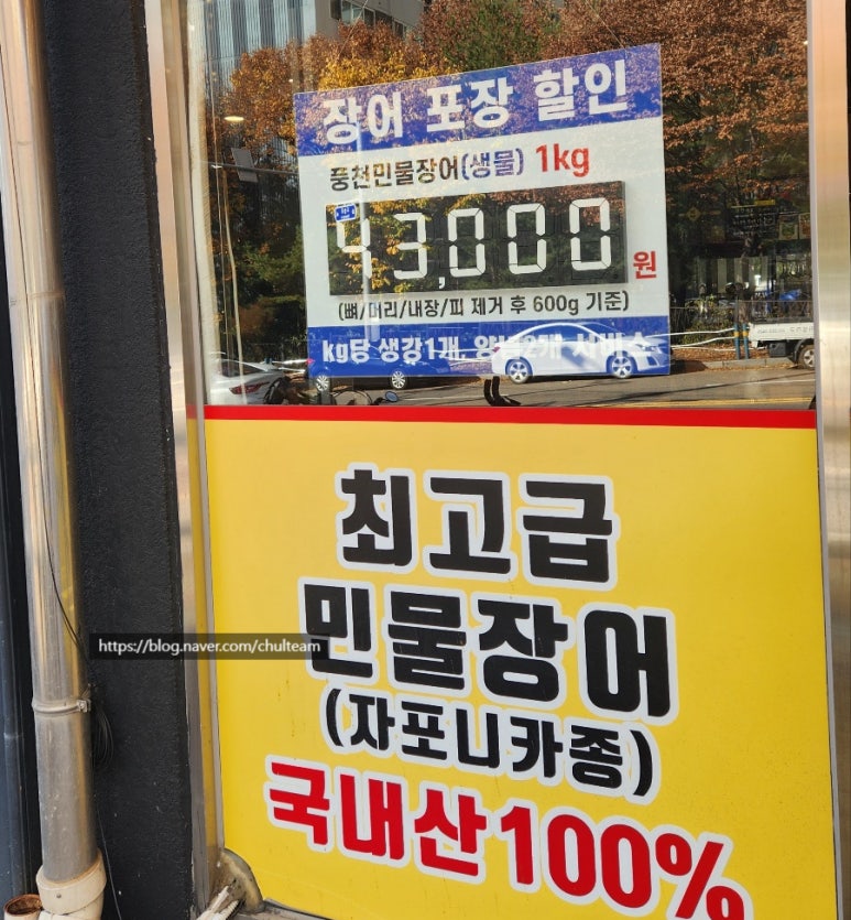 오장어 이미지