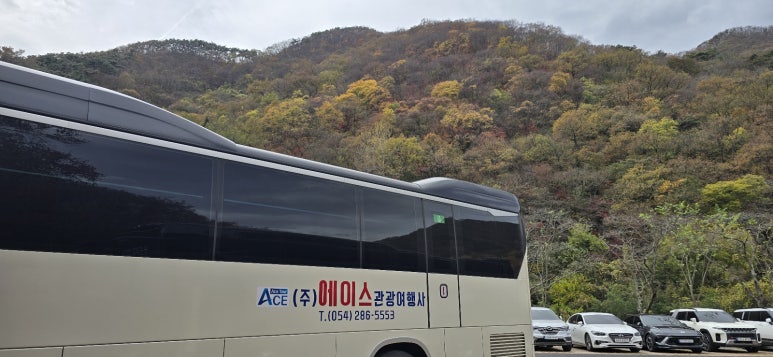 에이스투어 여행사 이미지